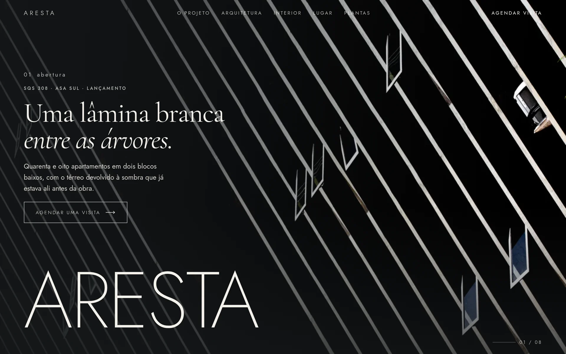 Primeira tela do site Aresta