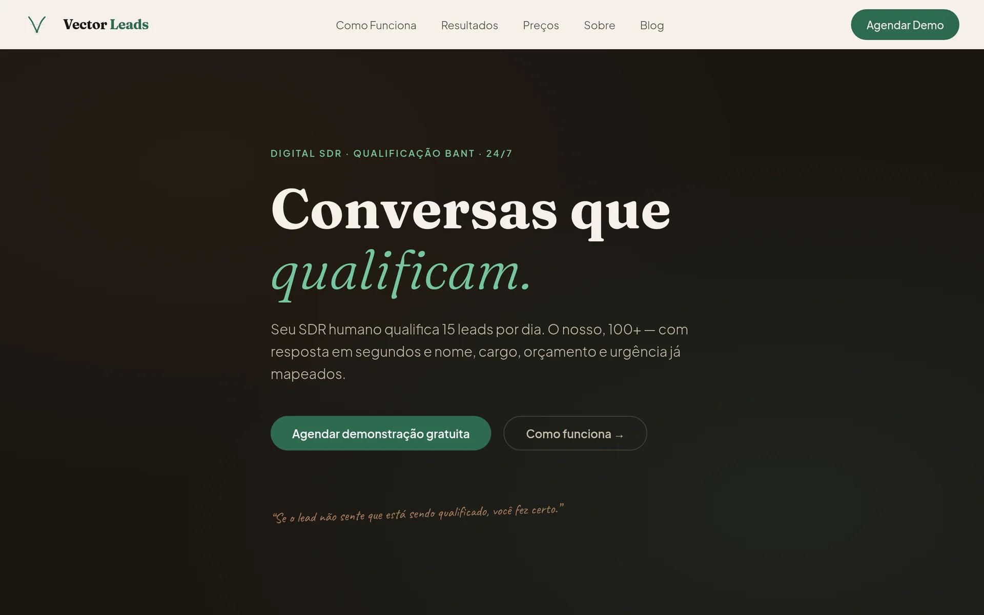 Primeira tela do site Vector Leads